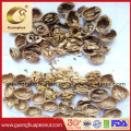 Healthy and Best Quality Walnut in Shell